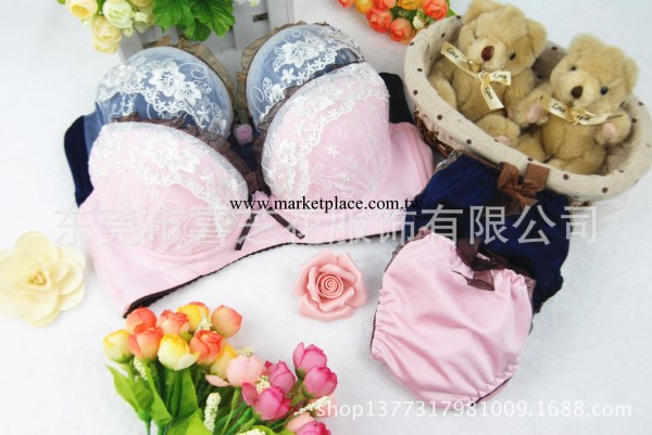 少女內衣 聚攏小胸 上托加厚 秋冬日系甜美刺繡蕾絲胸罩套裝 2288工廠,批發,進口,代購