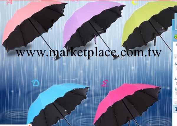 【現貨】三折黑膠銀膠遇水開花傘 韓國公主傘 定制廣告雨傘批發・進口・工廠・代買・代購