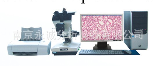 供應數位金相分析系統,金相分析機,金相顯微鏡, 數位顯微鏡工廠,批發,進口,代購