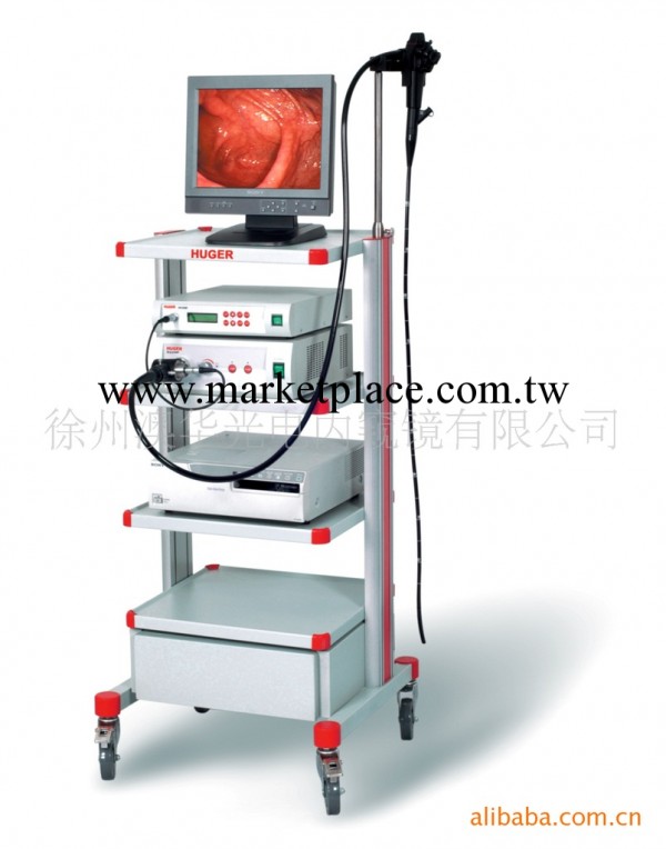 【腸鏡 電子腸鏡 內窺鏡 醫療設備】工廠,批發,進口,代購