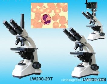 實驗型生物顯微鏡LW200-20T/B工廠,批發,進口,代購