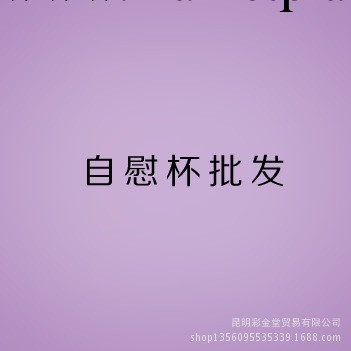 自慰飛機杯批發男用非電動器具手淫擼管成人用品情趣店網上進貨工廠,批發,進口,代購