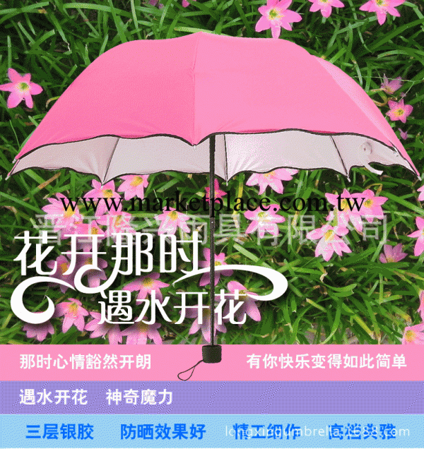 爆款公主傘 遇水現花魔術傘三折傘銀膠膠防紫外線傘超強防曬工廠,批發,進口,代購