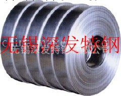 不銹鋼板板材，不銹鋼板卷，316不銹鋼帶工廠,批發,進口,代購