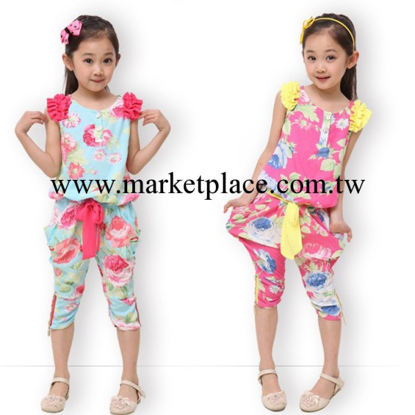 2014韓版大花新款兒童夏季女童套裝兩件套貝貝衣服全網最低價格工廠,批發,進口,代購