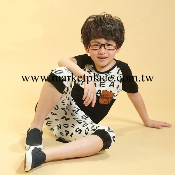 夏款2014童裝新品 中大童男童全棉短袖套裝 品牌童裝套裝工廠,批發,進口,代購