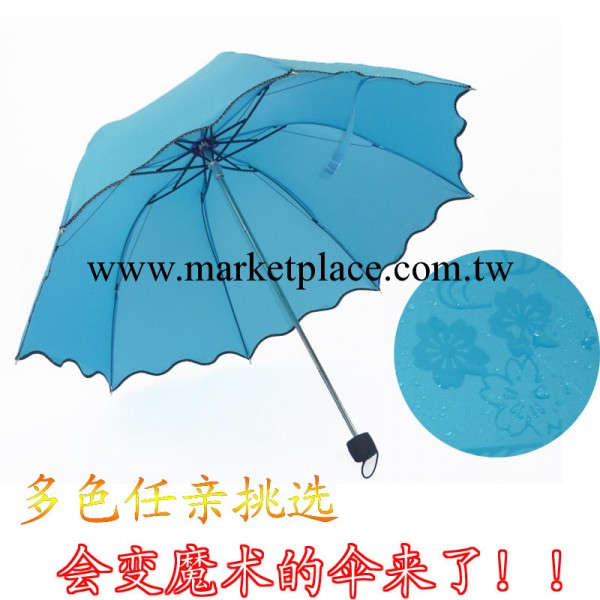 現貨批發阿波羅魔術遇水開花雨傘，創意拱形公主傘，荷葉花邊傘工廠,批發,進口,代購