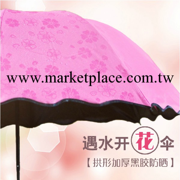 遇水現花太陽傘黑膠超強防曬防紫外線遮陽傘創意折疊晴雨傘批發工廠,批發,進口,代購