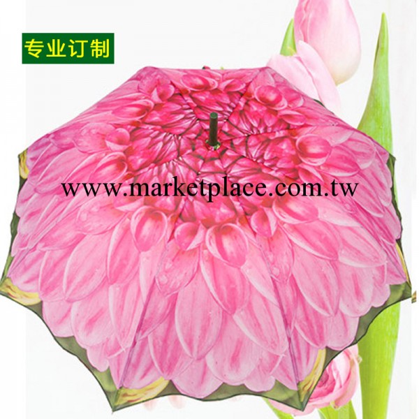 創意花朵雨傘 晴雨傘 防紫外線遮陽傘 廣告禮品直桿傘工廠,批發,進口,代購