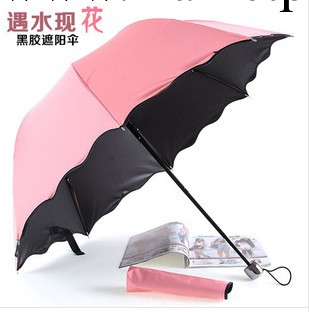遇水開花傘黑膠傘 防紫外線傘創意雨傘三折傘一件代發 廣告傘工廠,批發,進口,代購