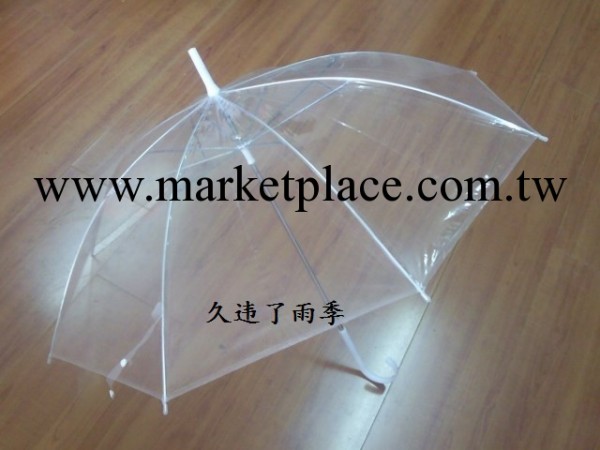 長柄透明傘直柄雨傘表演傘創意雨傘加厚加固可印Logo工廠,批發,進口,代購