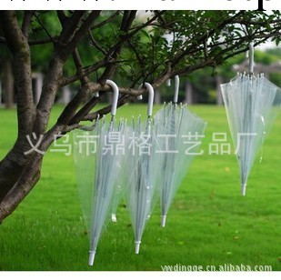廠傢定制廣告雨傘 加印LOGO 韓國創意雨傘定制 禮品透明雨傘批發工廠,批發,進口,代購