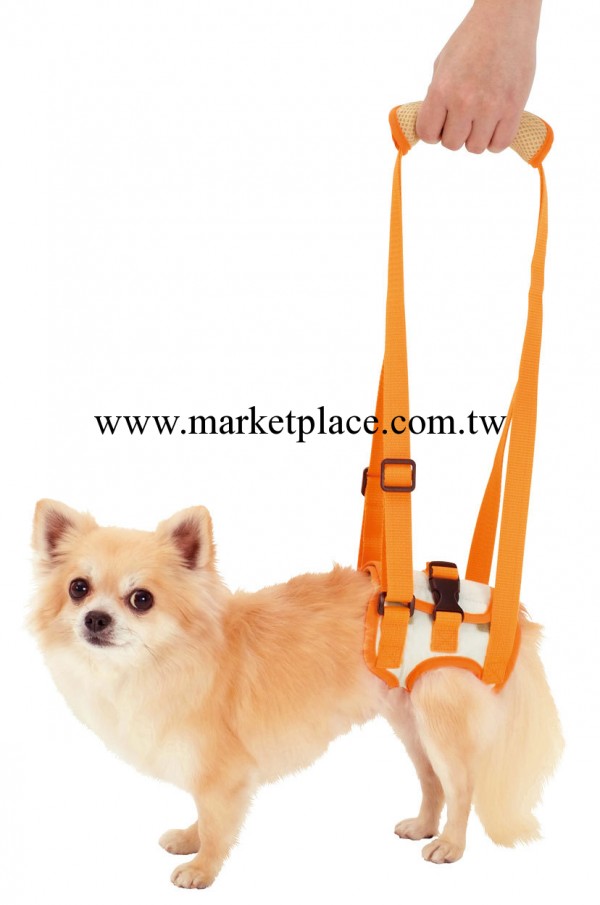petio  寵物用品 高齡犬介護用 後腳用背帶 進口品牌工廠,批發,進口,代購