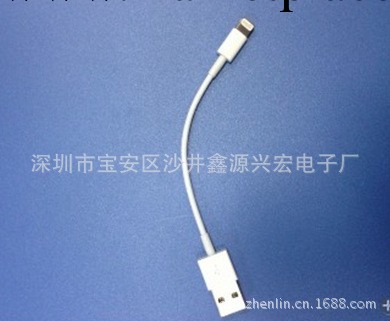 IPHONE 蘋果5 數據線 10CM廠傢直銷工廠,批發,進口,代購