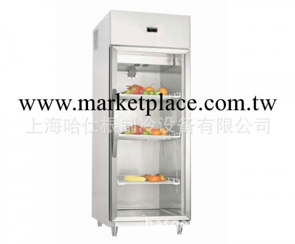 陳列冷櫃 單門雙門冷藏展示櫃  單門兩門冷凍展示櫃 上海哈仕根工廠,批發,進口,代購