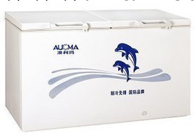 Aucma/澳柯瑪BC/BD-505JX 臥式節能型大容量冰櫃工廠,批發,進口,代購