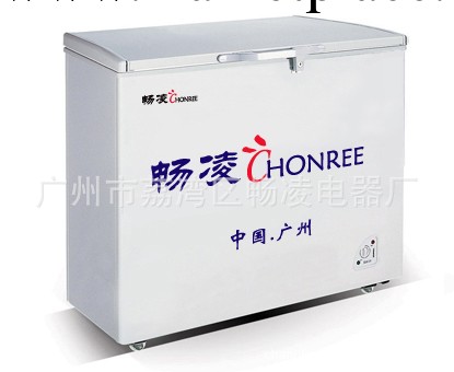 【廠傢直供】供應非洲冷櫃，冰櫃（250L）工廠,批發,進口,代購