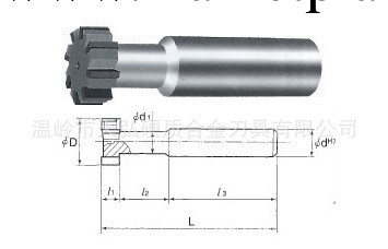 錐柄合金T型槽銑刀 M12-M54工廠,批發,進口,代購