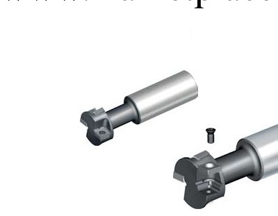 株洲鉆石T型槽銑刀TMP01，適用鑄鐵材料T型槽加工,直徑Φ21－Φ60工廠,批發,進口,代購