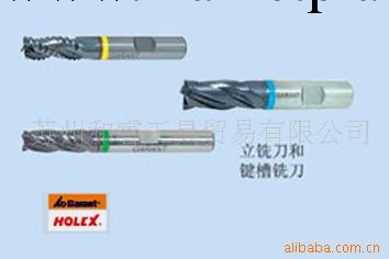 供應立銑刀和鍵槽銑刀工廠,批發,進口,代購