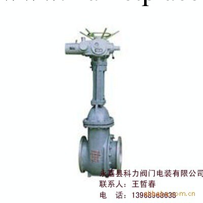 供應PZ941H電動排渣閘閥 電動排渣閥工廠,批發,進口,代購