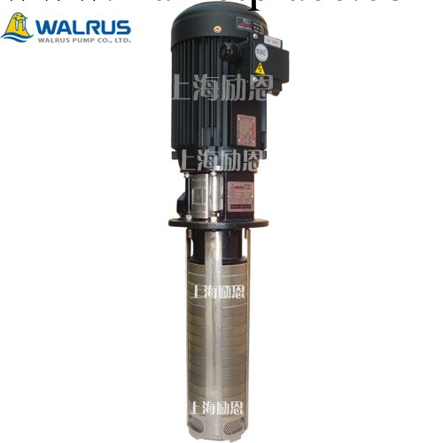 華樂士水泵 臺灣大井油泵 TPCK4T22-22  WALRUS PUMP工廠,批發,進口,代購