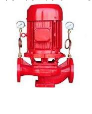 供應上海凱凱牌立式消防泵 廠傢直銷 價格優惠 質量三包工廠,批發,進口,代購