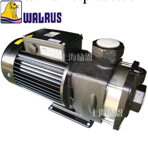 臺灣華樂士水泵 TPH8T3K WALRUS PUMP 進口機床油泵工廠,批發,進口,代購