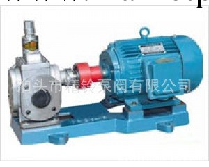 直銷YCB-8/0.6型系列圓弧齒輪泵（不銹鋼）/防腐蝕齒輪泵出廠價工廠,批發,進口,代購