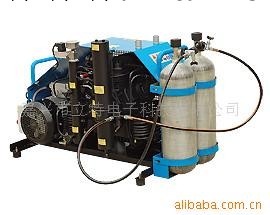 供應MCH13-16/ET便攜式呼吸空氣填充泵工廠,批發,進口,代購