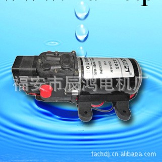 【企業集采】 廠傢直銷大壓力水泵FL-3203，洗車器泵.高壓力12V工廠,批發,進口,代購