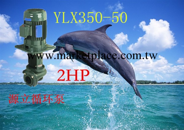 廠傢供應源立YLX350-50流程循環泵(1.5KW/2HP)工廠,批發,進口,代購