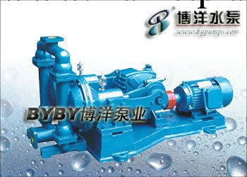 上海博洋水泵廠DBY型電動隔膜泵工廠,批發,進口,代購