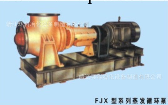 靖江環科  FJX型系列蒸發循環泵工廠,批發,進口,代購