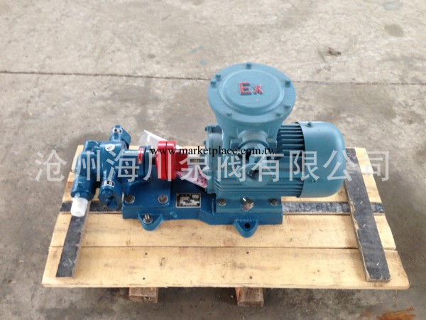 滄州海川銅輪產品安全可靠KCB防爆齒輪泵工廠,批發,進口,代購