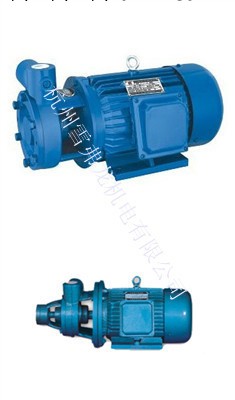 廠傢直銷 1W單級旋渦泵 高壓旋渦泵 1W25-12旋渦泵工廠,批發,進口,代購
