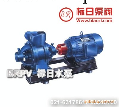 W型雙級旋渦泵 多級旋渦泵 w型旋渦泵工廠,批發,進口,代購