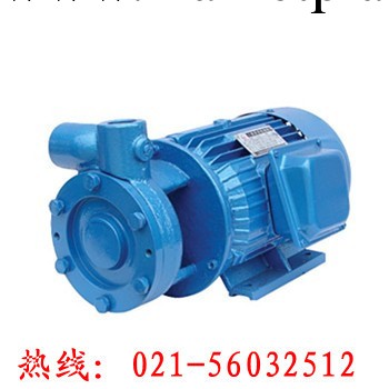 上海供應W型單級直連旋渦泵工廠,批發,進口,代購