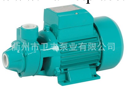 廠傢供應旋渦泵PK60(QB60)批發・進口・工廠・代買・代購