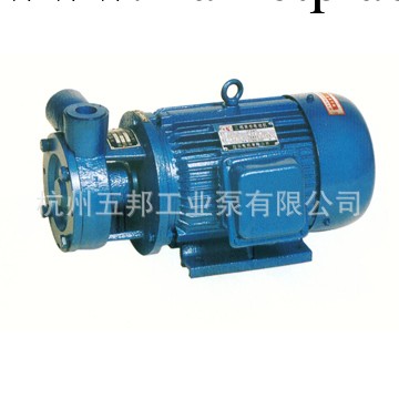 供應漩渦泵  鍋爐漩渦泵  W型單級直連漩渦泵  1W2.4-10.5漩渦泵工廠,批發,進口,代購