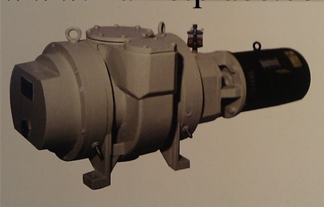 ZJP-600羅茨真空泵 成都南光 杭州長城機電批發19200/臺工廠,批發,進口,代購