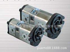 臺灣HP雙聯齒輪泵GPH/2020-12/12-R-K0W0F0工廠,批發,進口,代購