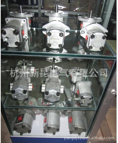 生產廠傢直銷齒輪泵HGP1A-F3R系列齒輪泵工廠,批發,進口,代購