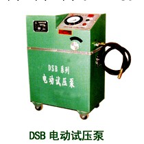YLD牌---試壓泵 ------DSB電動試壓泵（40MPA)------手提式試壓泵工廠,批發,進口,代購