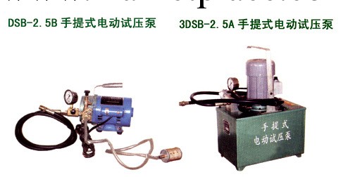 供應3DSB手提式電動試壓泵  質量保證工廠,批發,進口,代購