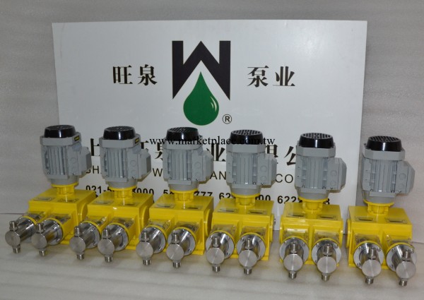 上海旺泉2J-X系列雙頭計量泵、柱塞計量泵、不銹鋼計量泵工廠,批發,進口,代購