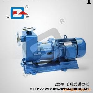 上海長征 供應ZCQ自吸式磁力驅動泵 ZCQ20-12-110 磁力驅動泵工廠,批發,進口,代購