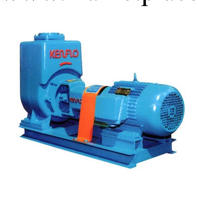 佛山水泵廠 ZW系列自吸泵 32ZW8-15工廠,批發,進口,代購