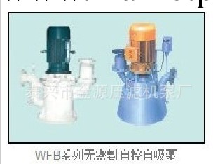 專業制泵 WFB系列無密封自控自吸泵 不銹鋼材質自吸功能好工廠,批發,進口,代購