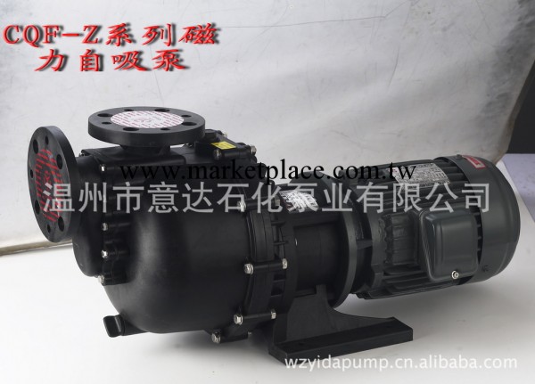 CQF-Z40012自吸式磁力耐酸堿泵 意達泵業 YIDA工廠,批發,進口,代購